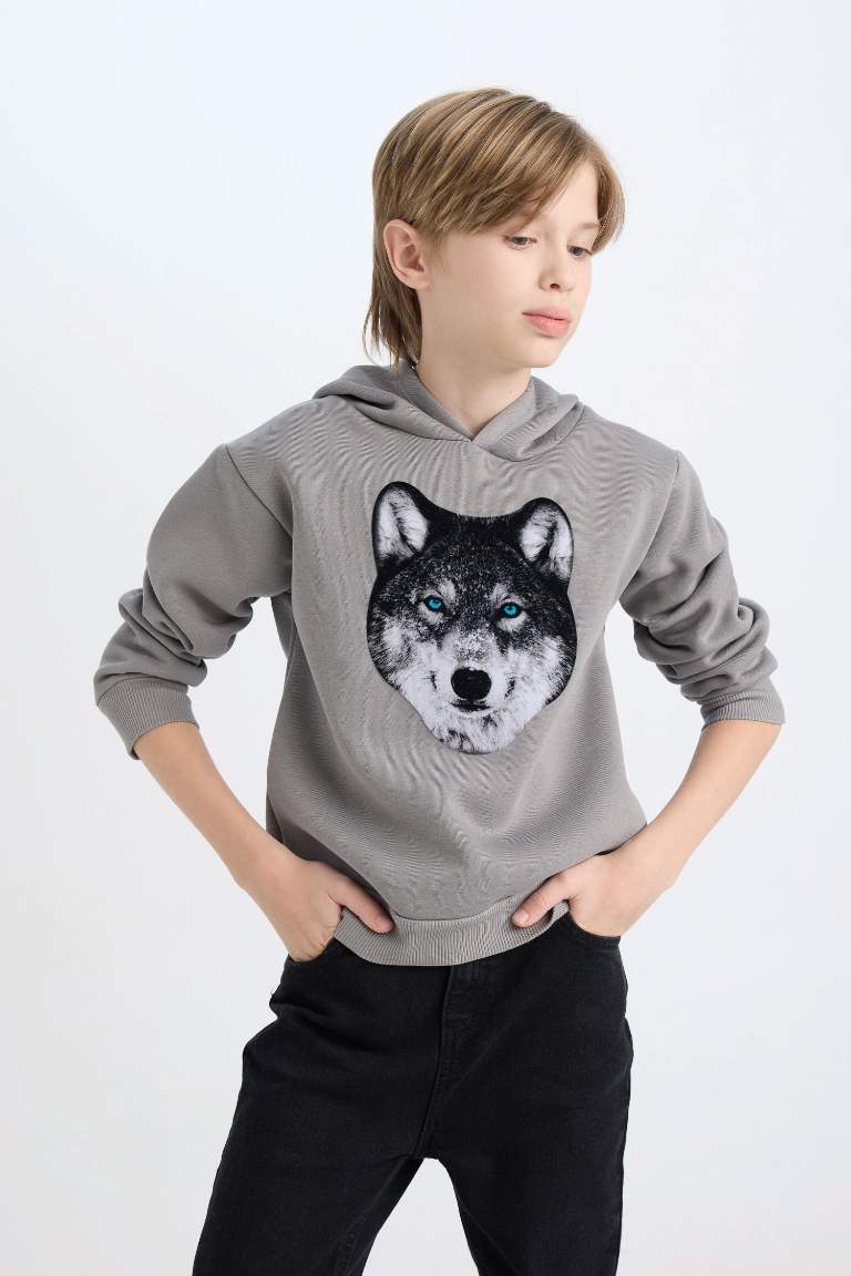 Boy Hooded Printed Sweatshirt