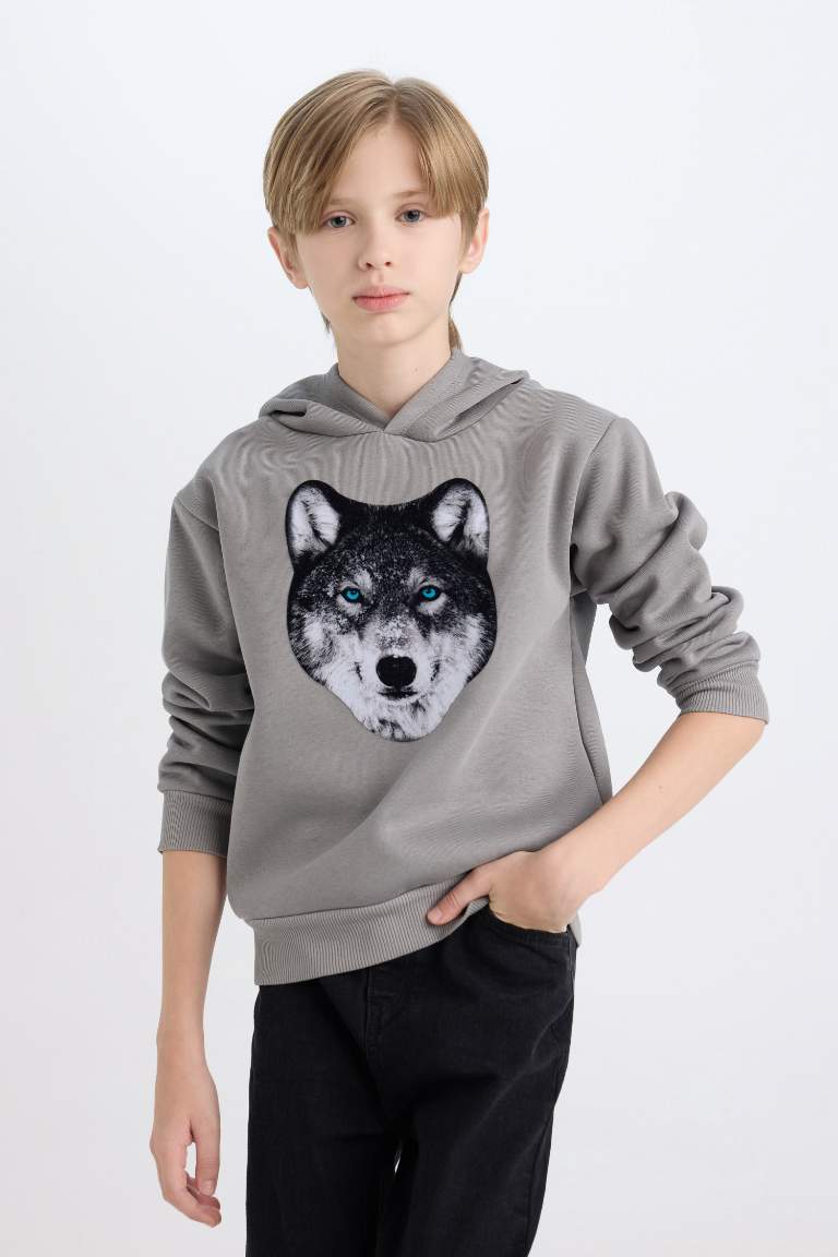 Boy Hooded Printed Sweatshirt