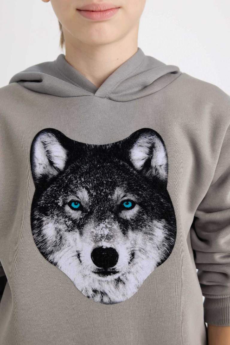 Boy Hooded Printed Sweatshirt