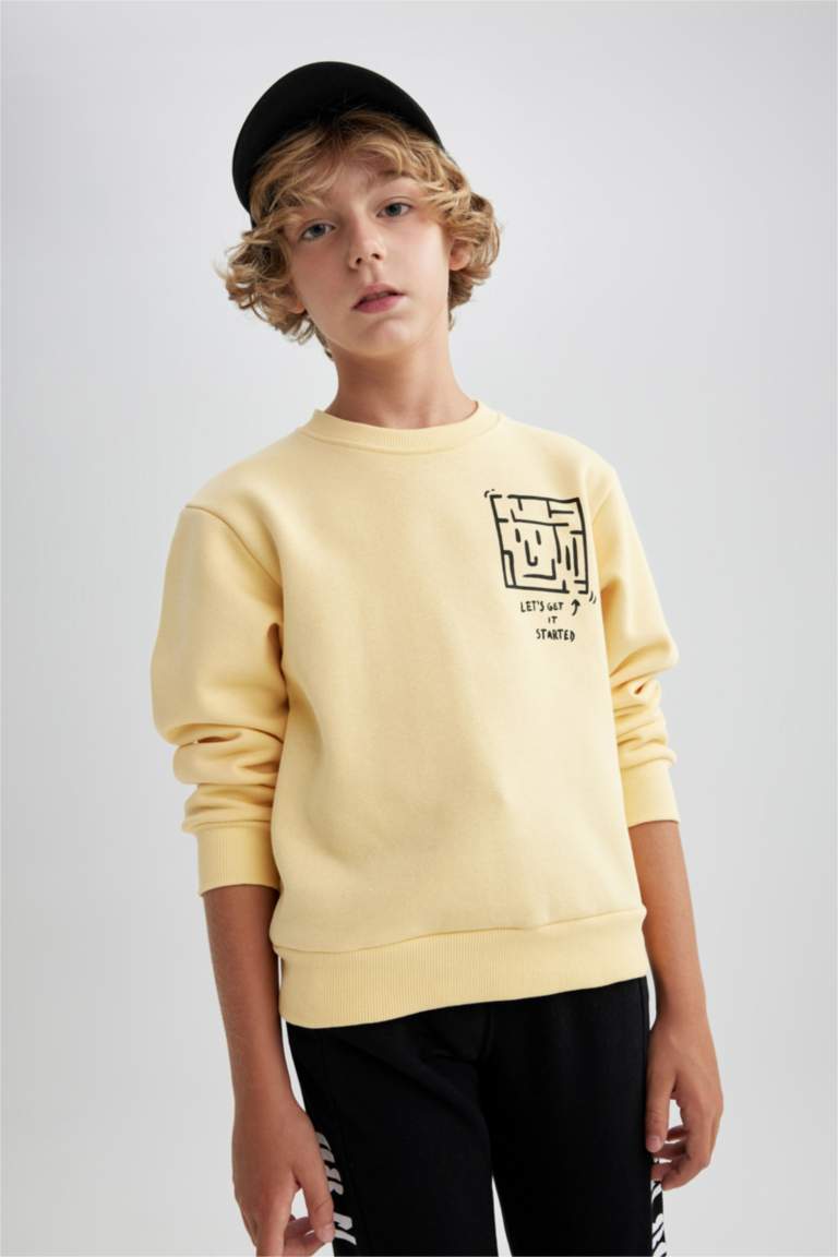 Regular Fit Crew Neck Sweatshirt