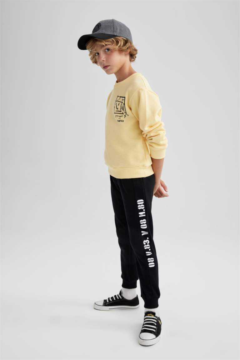 Regular Fit Crew Neck Sweatshirt