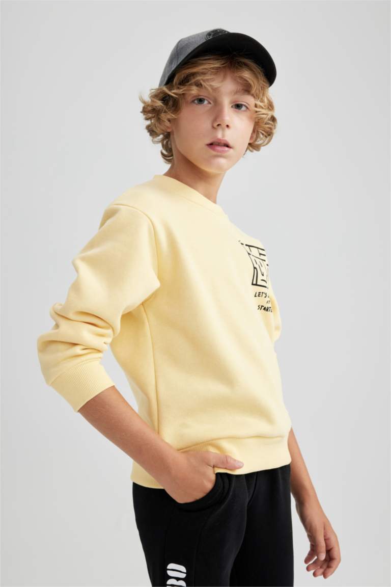 Regular Fit Crew Neck Sweatshirt