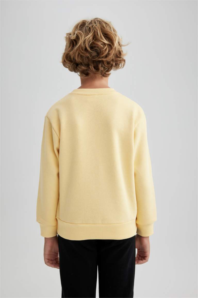 Regular Fit Crew Neck Sweatshirt