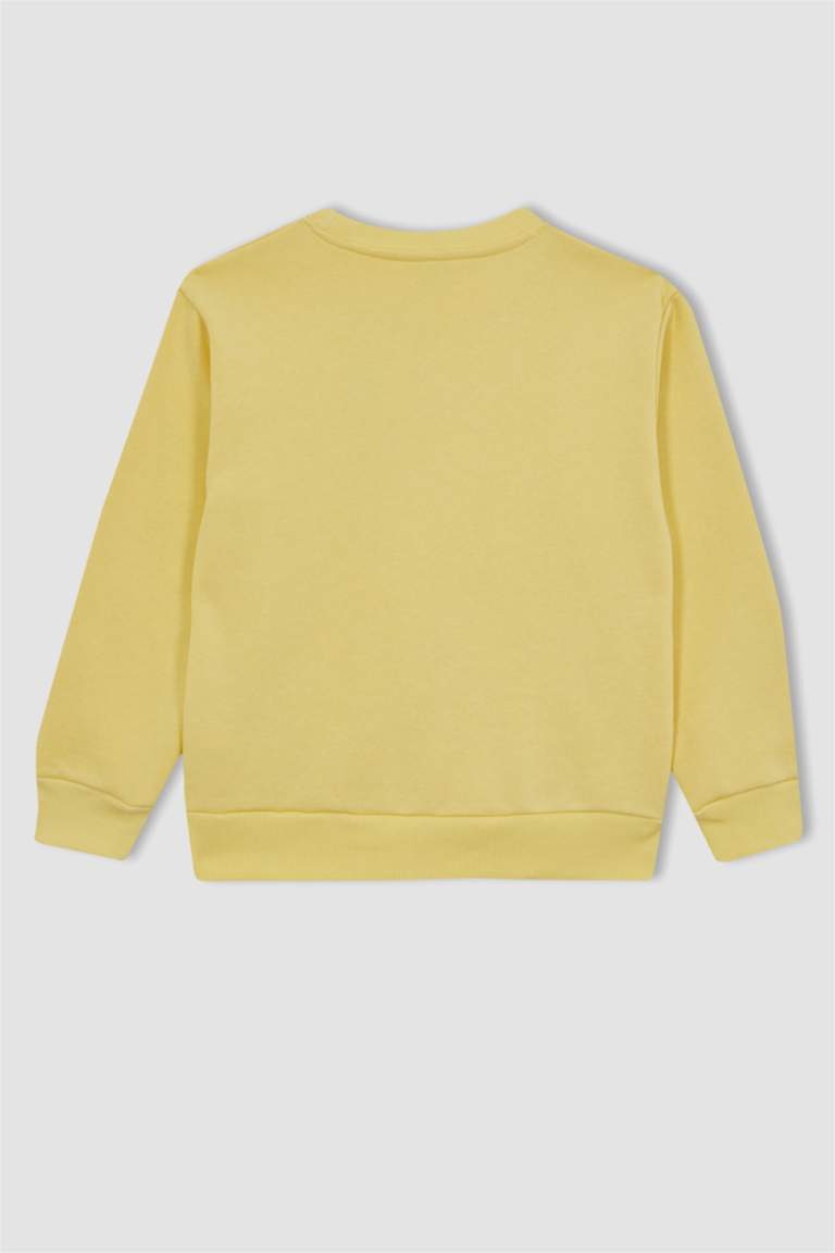 Regular Fit Crew Neck Sweatshirt