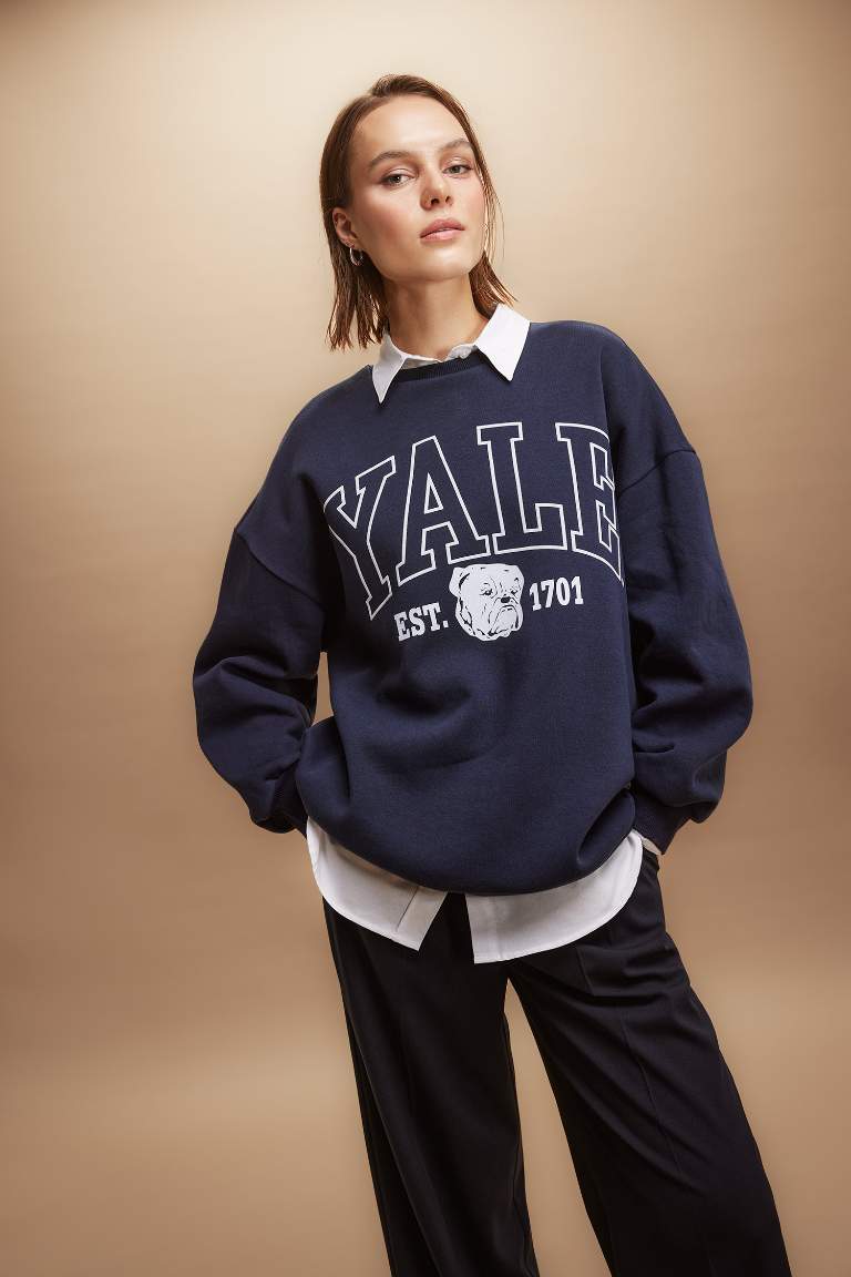 Yale University үлкен пішім үлкен дөңгелек жаға Свитер