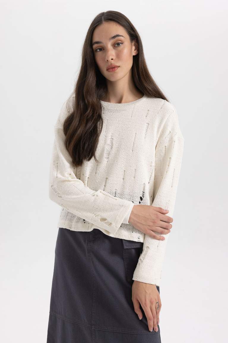 Crew Neck Long Sleeve Crochet T-Shirt Tunic