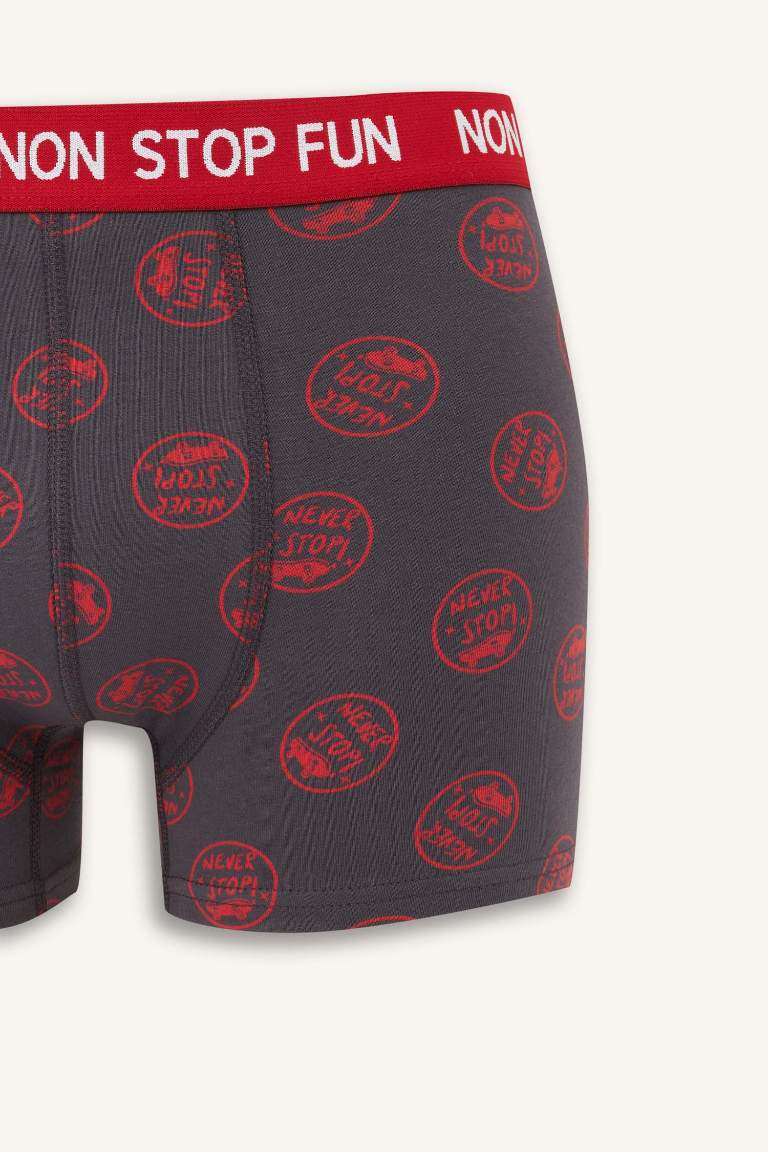 Regular Fit Desenli 3'lü Boxer
