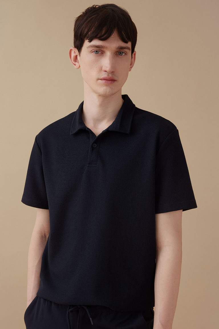 New Regular Fit Short Sleeve Polo Shirt