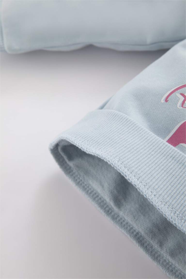 2 piece Regular Fit Crew Neck Lilo & Stitch Licensed Set