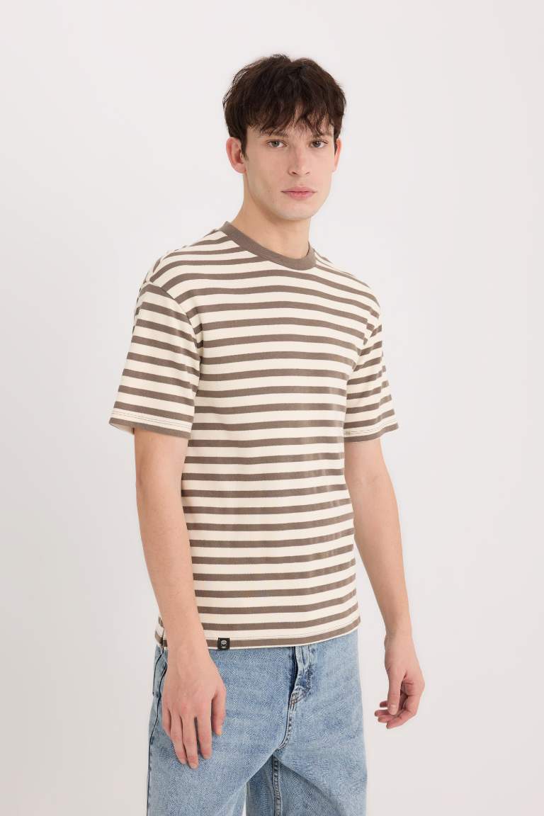 Boxy Fit Crew Neck Striped T-Shirt