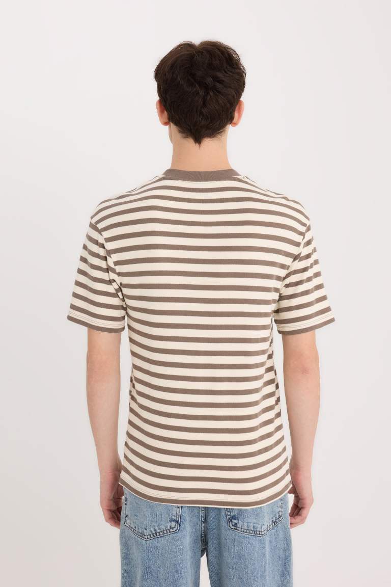 Boxy Fit Crew Neck Striped T-Shirt