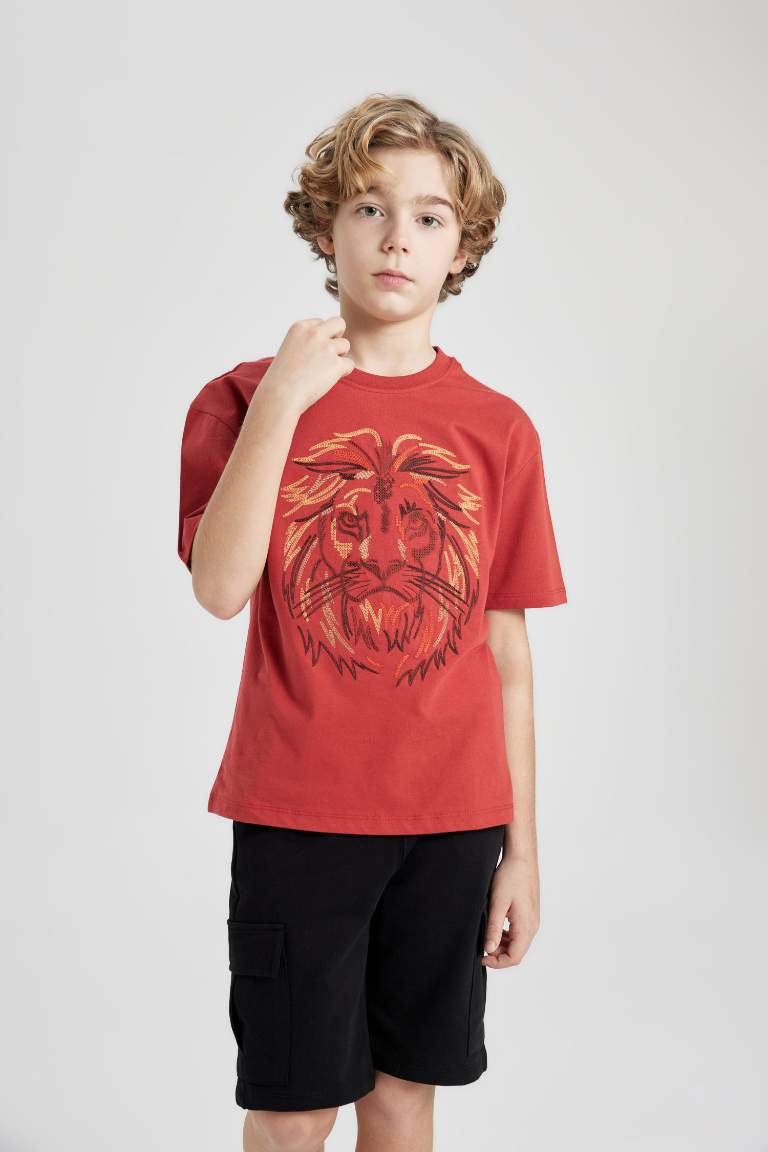 Boy Oversize Fit  Crew Neck Embroidered T-Shirt