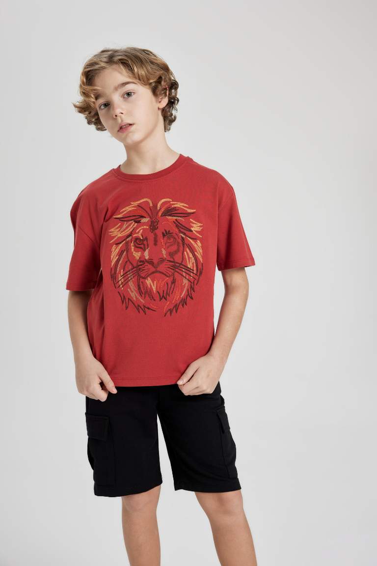 Boy Oversize Fit  Crew Neck Embroidered T-Shirt