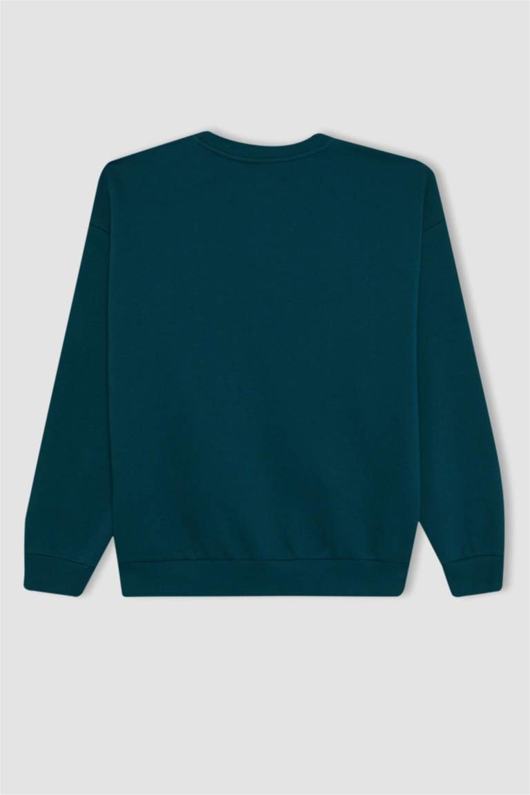 Relax Fit Bisiklet Yaka Baskılı Kalın Sweatshirt