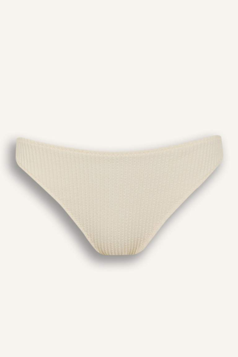Regular Fit Bürümcük Bikini Altı-Fall in Love