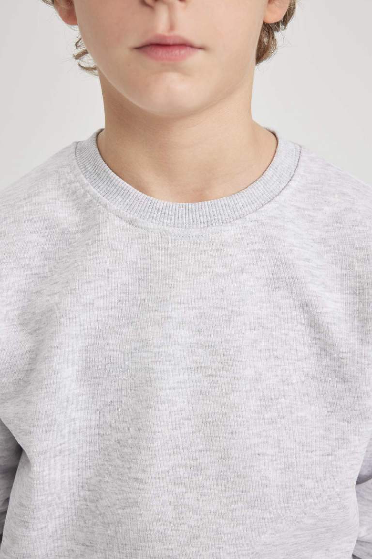 Boy Regular Fit Crew Neck Sweatshirt