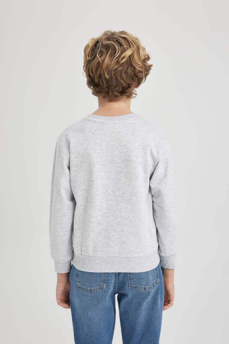 Boy Regular Fit Crew Neck Sweatshirt