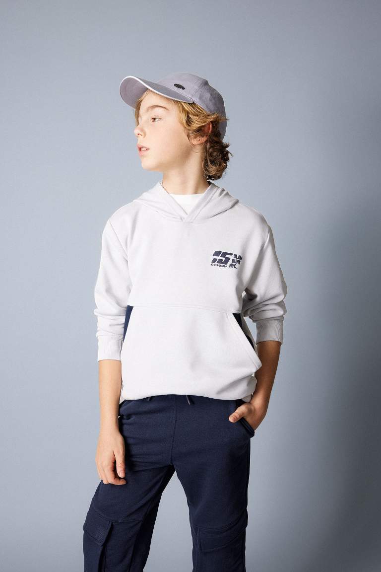 Boy Regular Fit Hooded Printed Sweatshirt