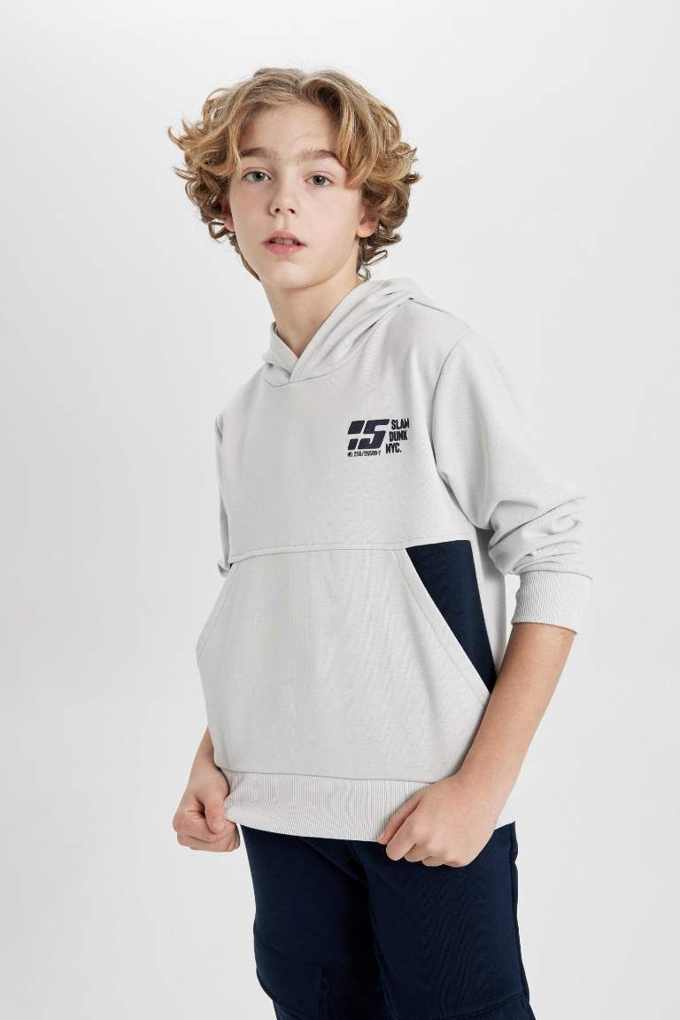 Boy Regular Fit Hooded Printed Sweatshirt