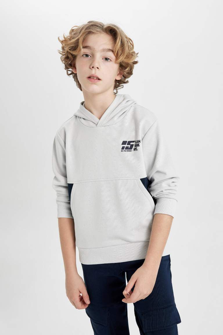 Boy Regular Fit Hooded Printed Sweatshirt