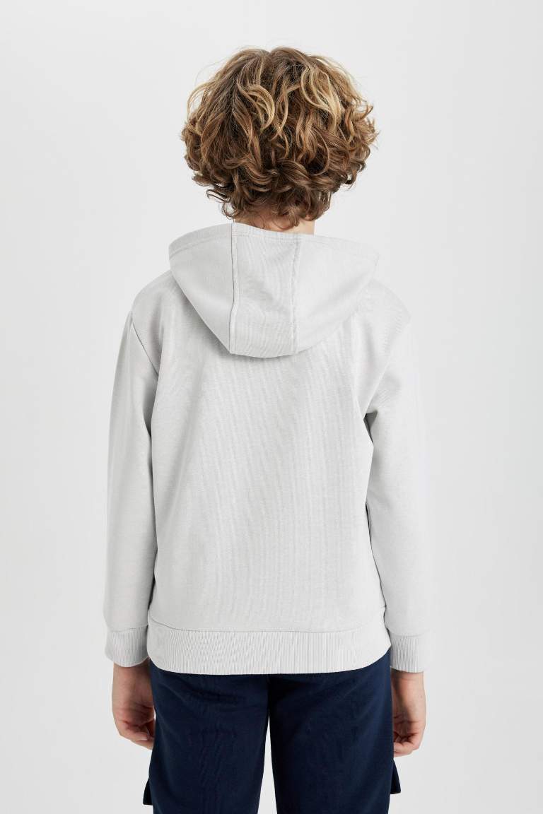 Boy Regular Fit Hooded Printed Sweatshirt