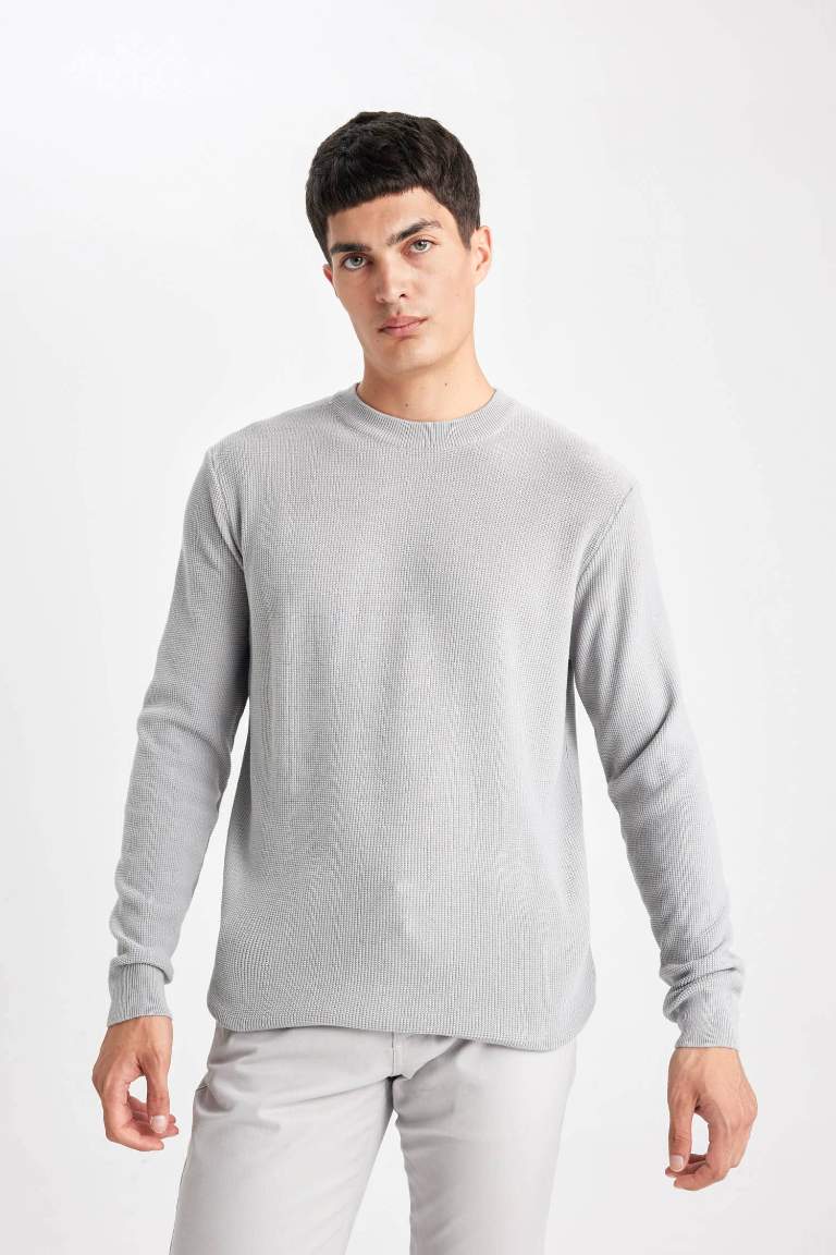 Standard Fit Crew Neck Basic Knitted Pullover