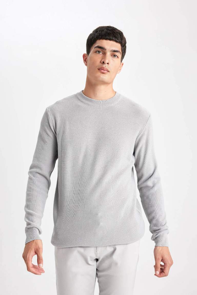 Standard Fit Crew Neck Basic Knitted Pullover