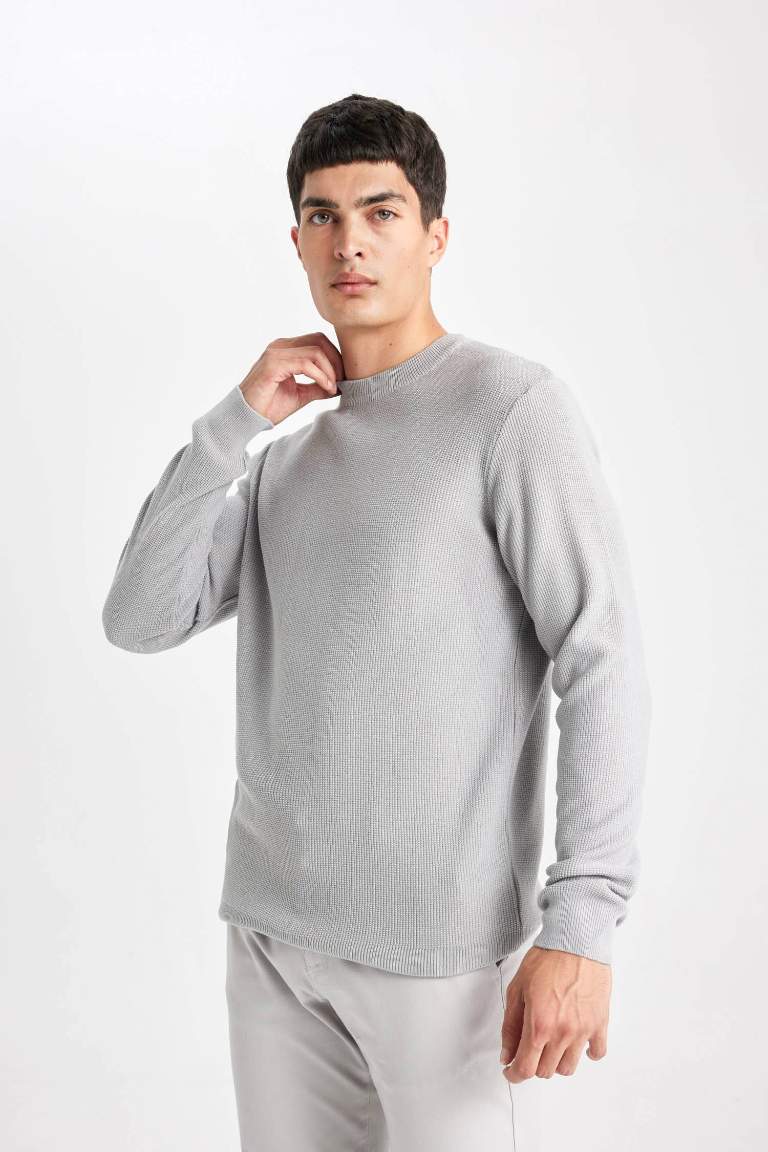 Standard Fit Crew Neck Basic Knitted Pullover