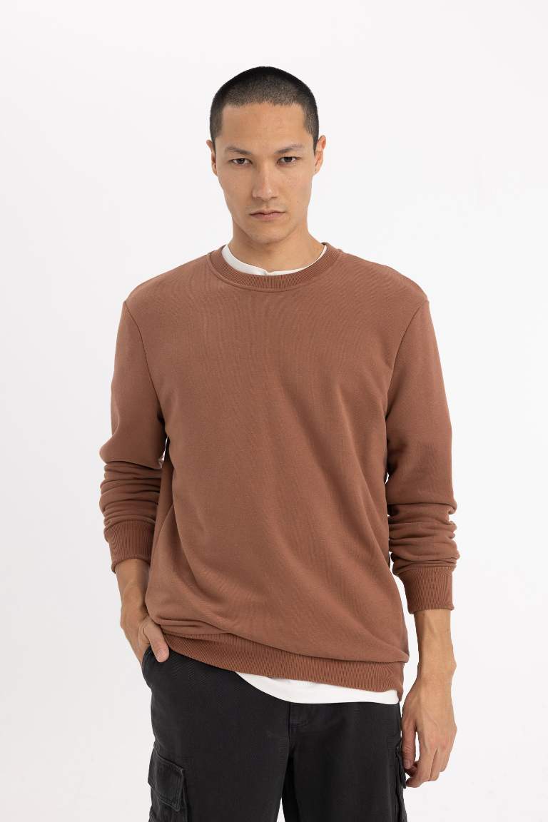 Regular Fit Sweatshirt