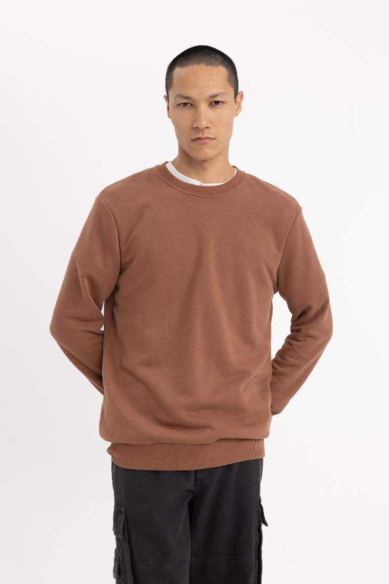 Regular Fit Sweatshirt