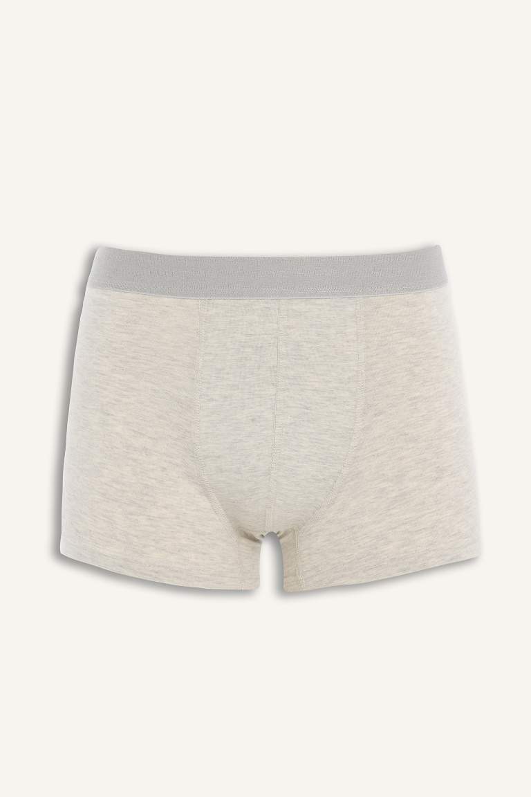 Regular Fit 3'lü Boxer