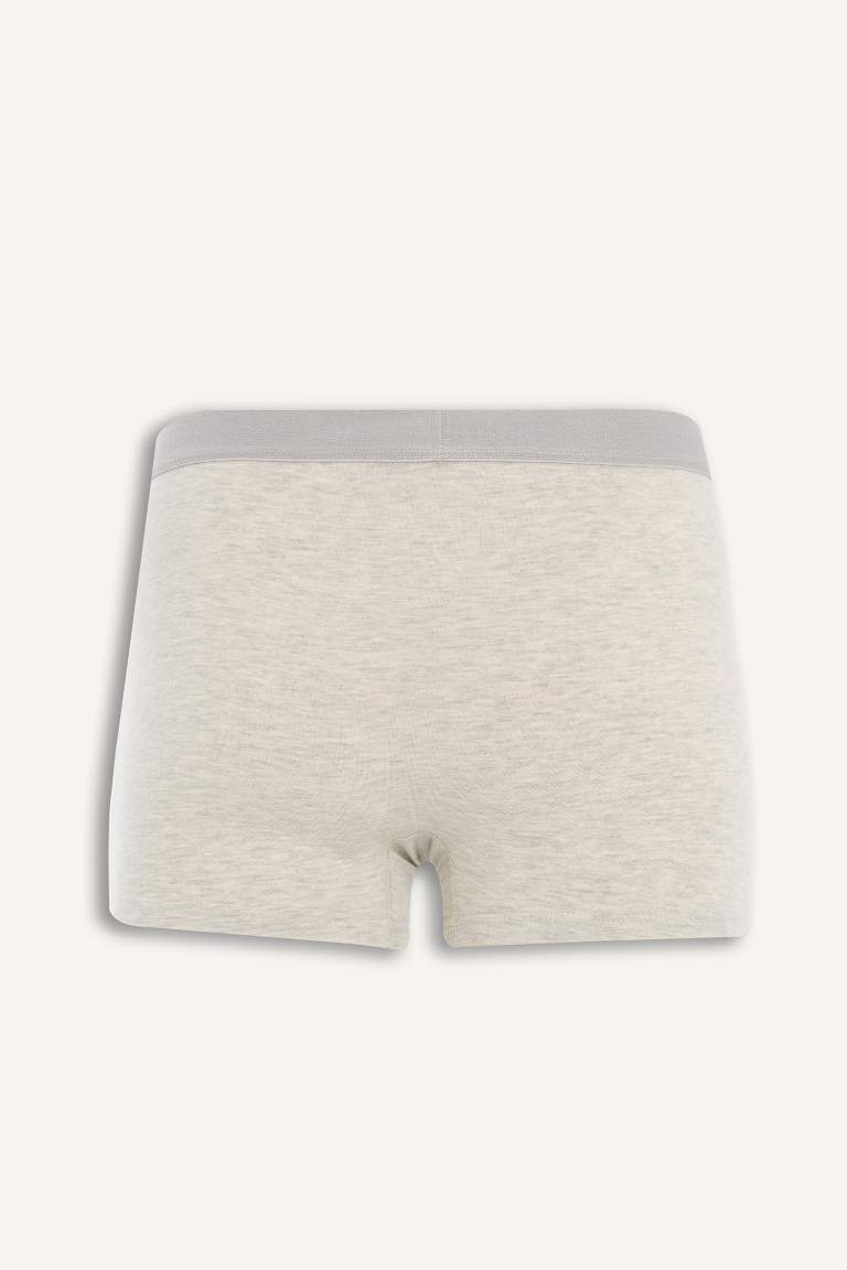 Regular Fit 3'lü Boxer