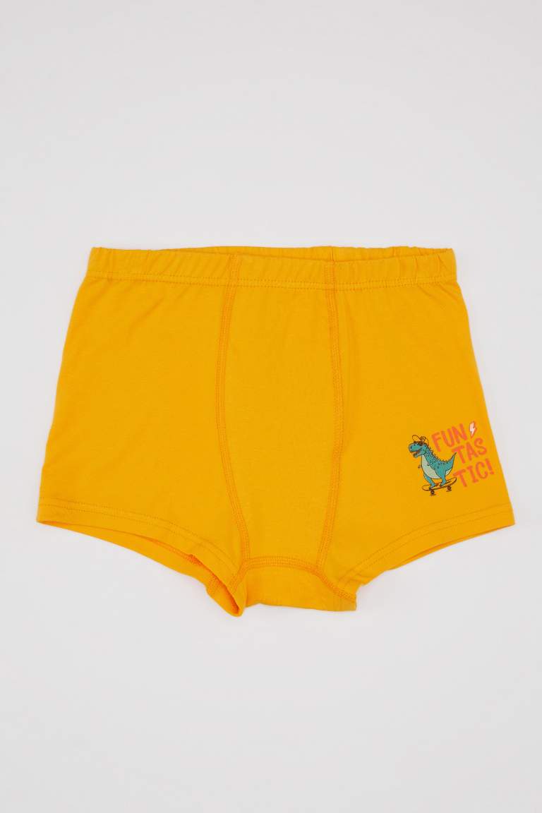 Lot de 3 Boxers pour Garçon