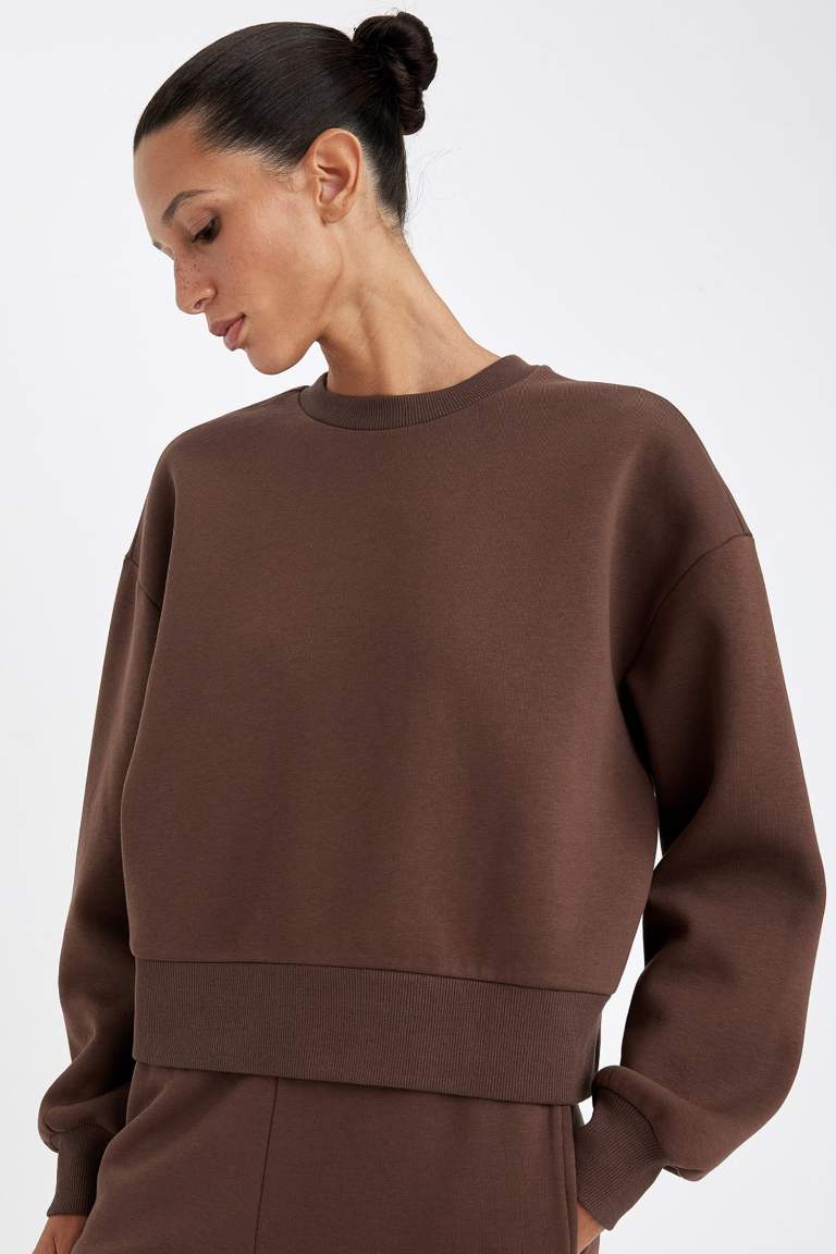 Boxy Fit Crew Neck Thick Basic Sweatshirt