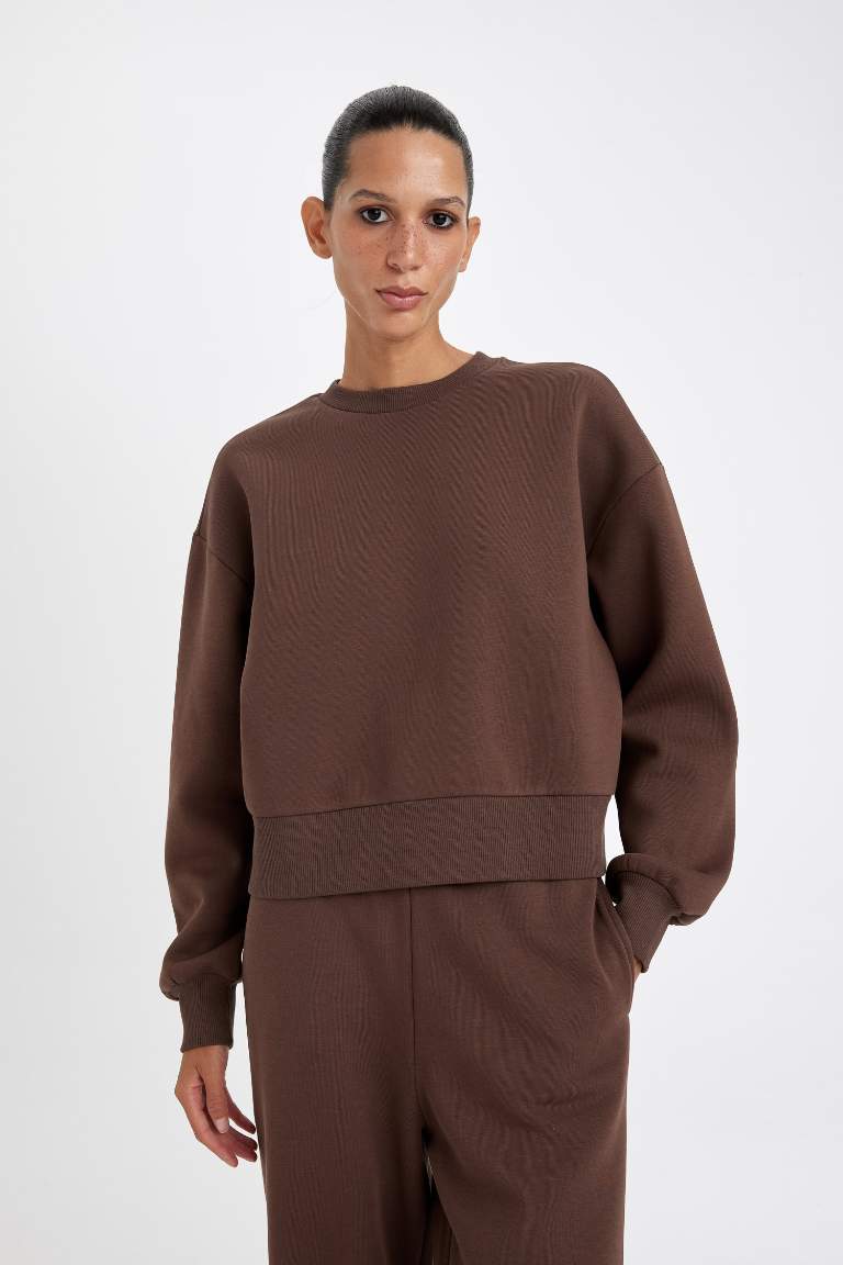 Boxy Fit Crew Neck Thick Basic Sweatshirt