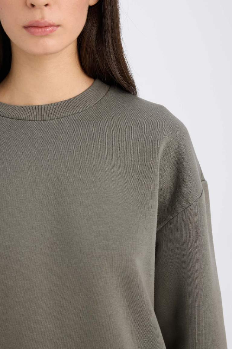 Boxy Fit Crew Neck Thick Basic Sweatshirt