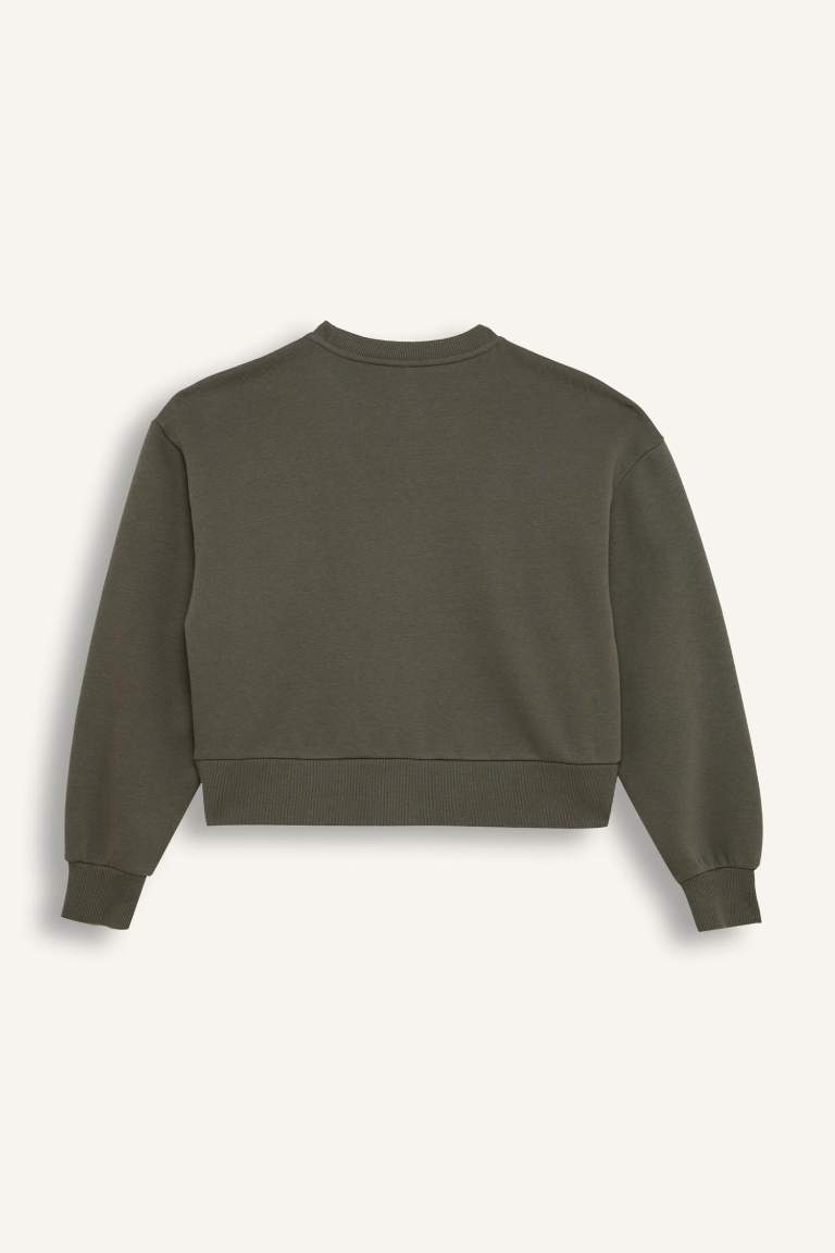 Boxy Fit Crew Neck Thick Basic Sweatshirt