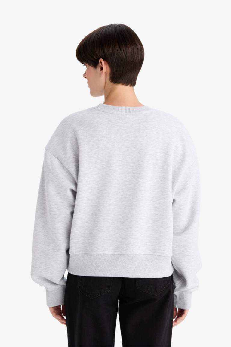 Boxy Fit Bisiklet Yaka Basic Düz Sweatshirt