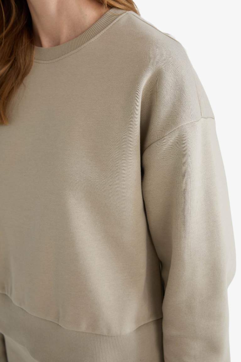 Boxy Fit Basic Sweatshirt