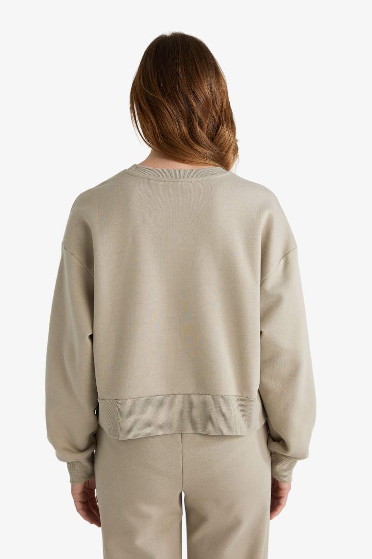 Boxy Fit Basic Sweatshirt