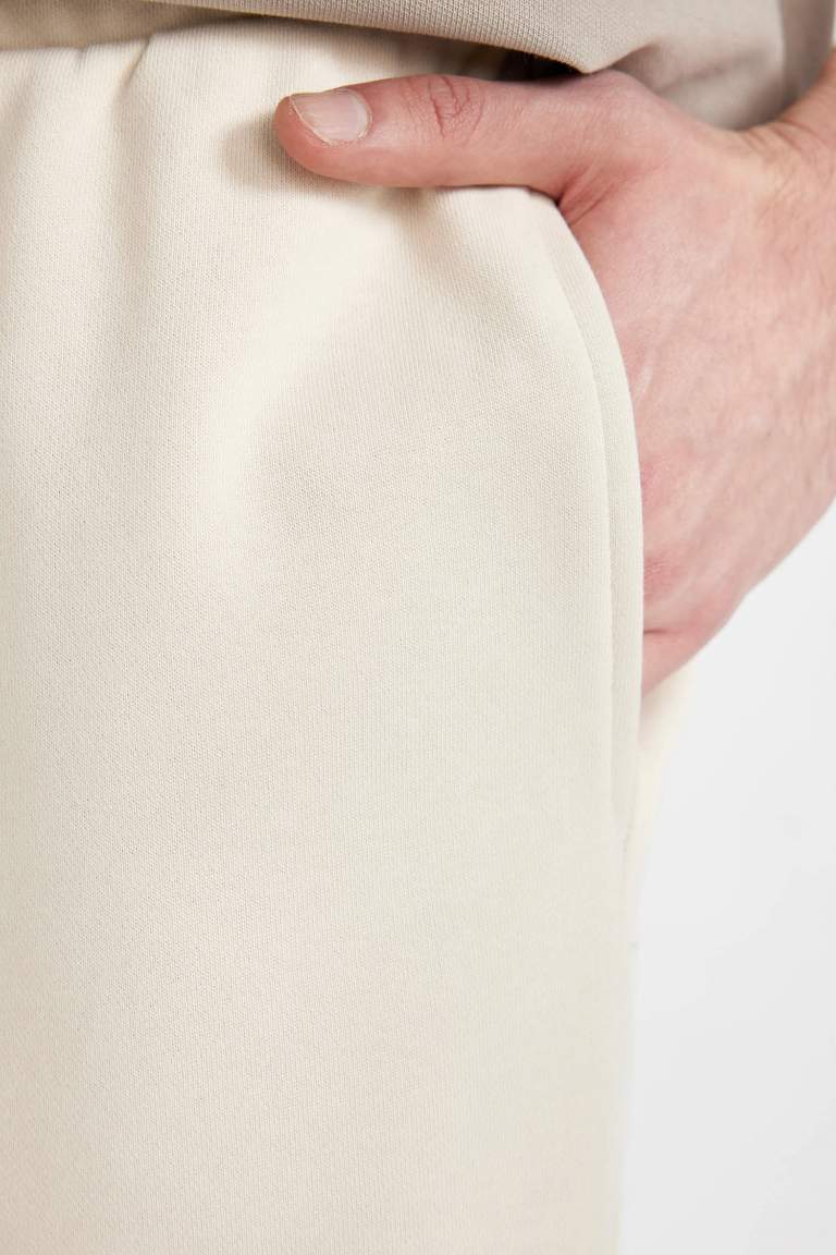 Regular Fit Regular Hem Shorts