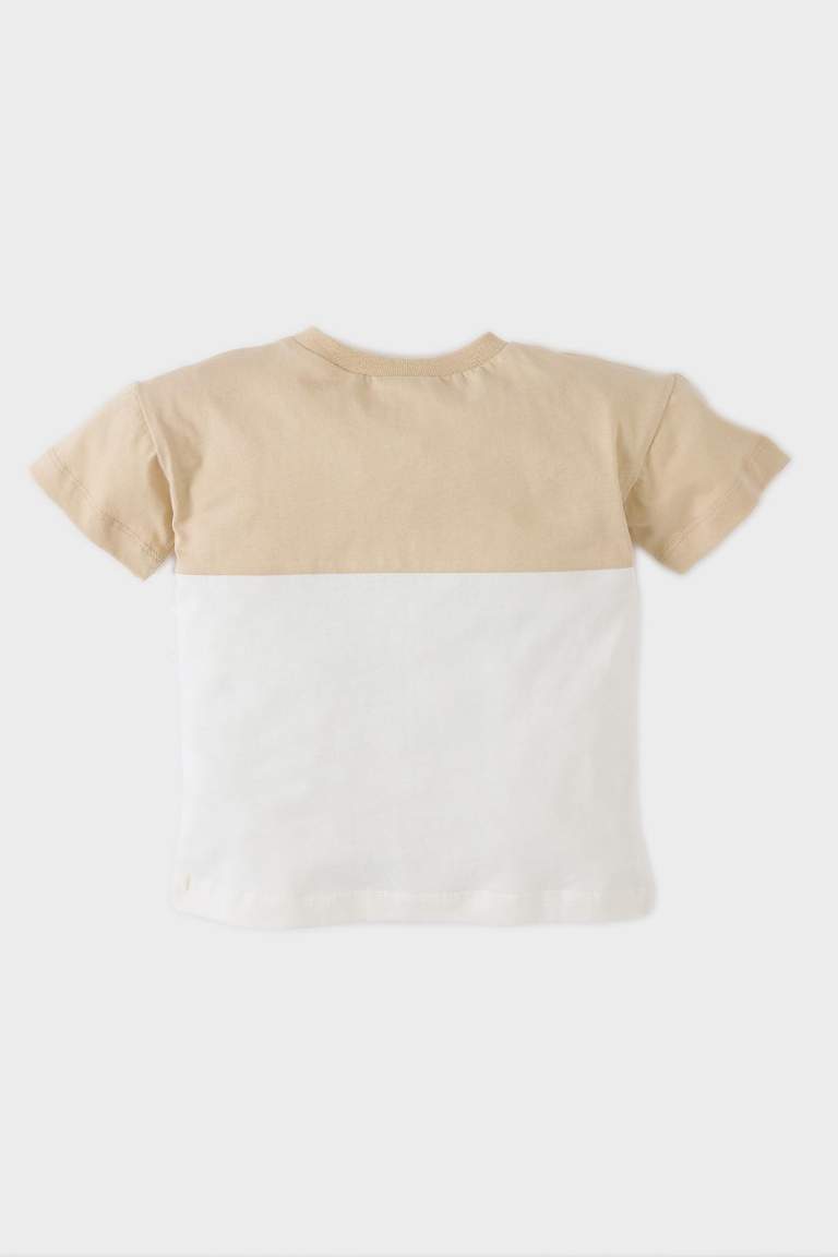 Baby Boy Regular Fit Crew Neck Color Block T-Shirt