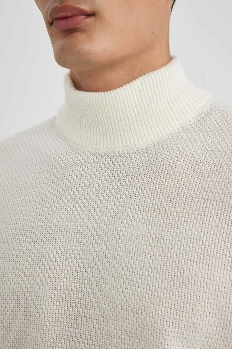 Standard Fit Turtleneck Basic Knitted Pullover