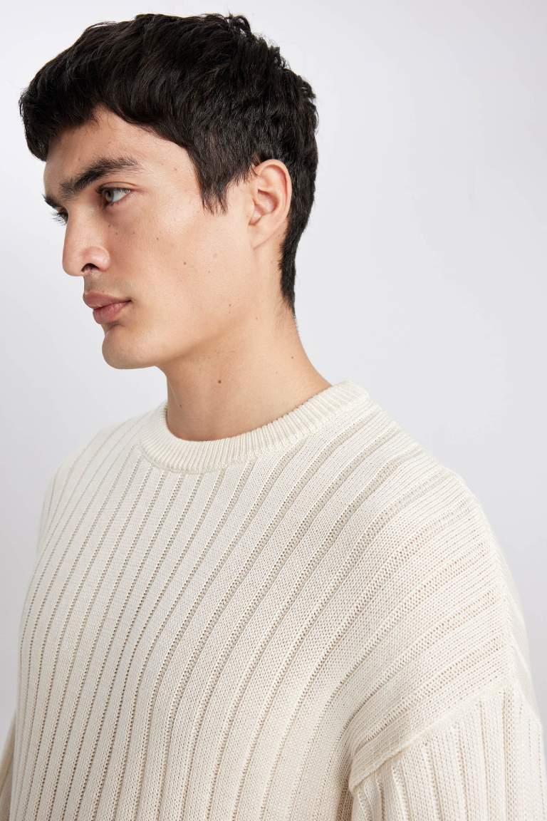 Relax Fit Crew Neck Knitted Basic Pullover