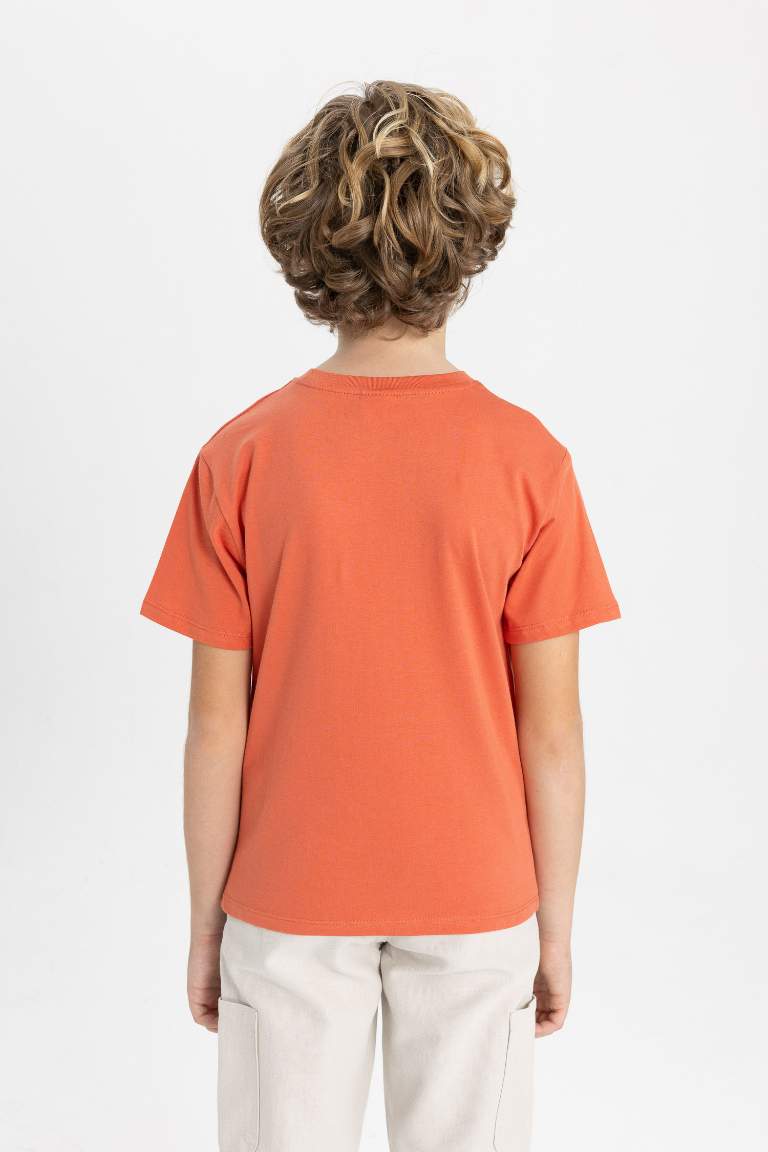 Boy Crew Neck Printed Short Sleeve T-Shirt