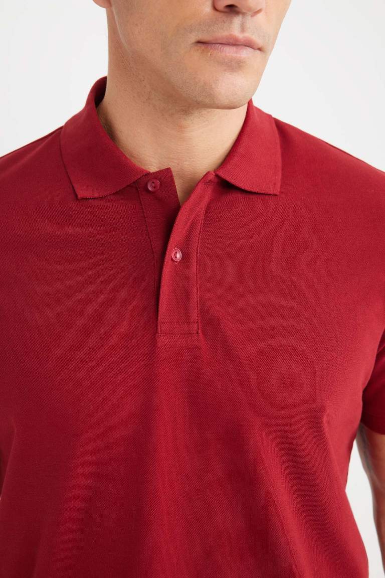 Regular Fit Polo Collar Pique Polo T-Shirt