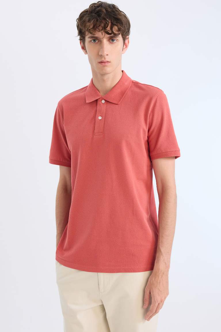 Regular Fit Polo Collar Pique Polo T-Shirt