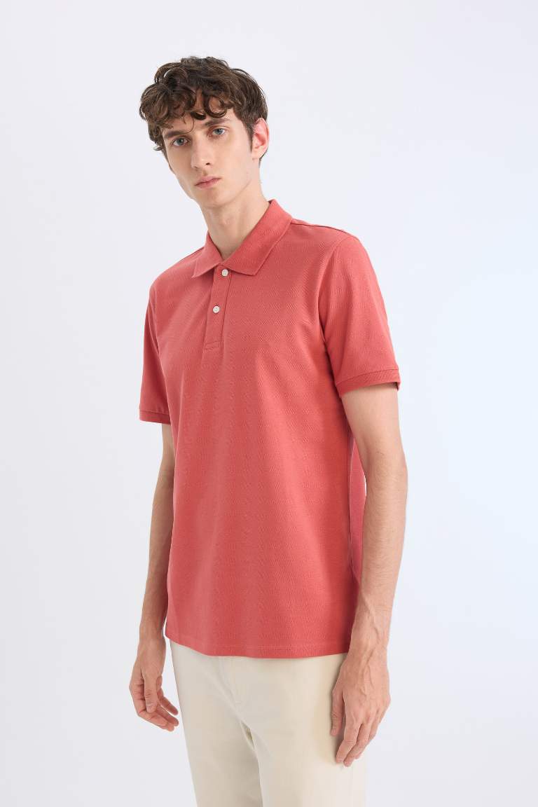 Regular Fit Polo Collar Pique Polo T-Shirt