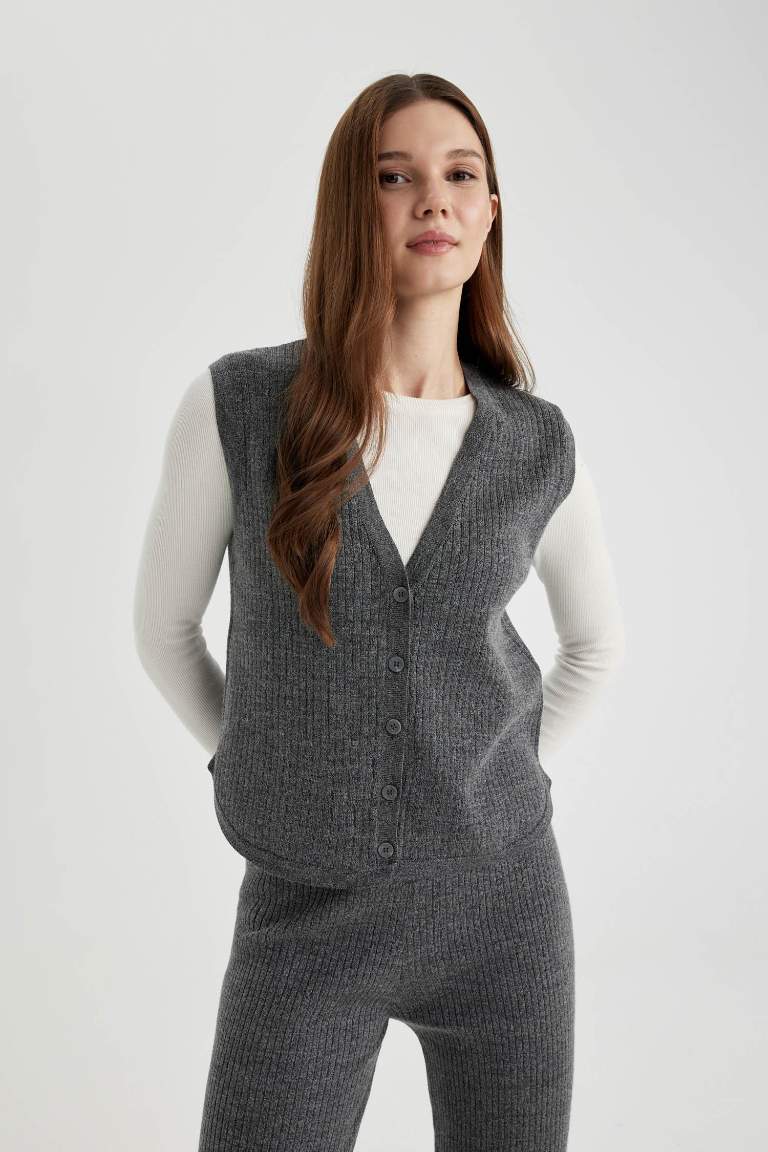 Regular Fit V-Neck Vest