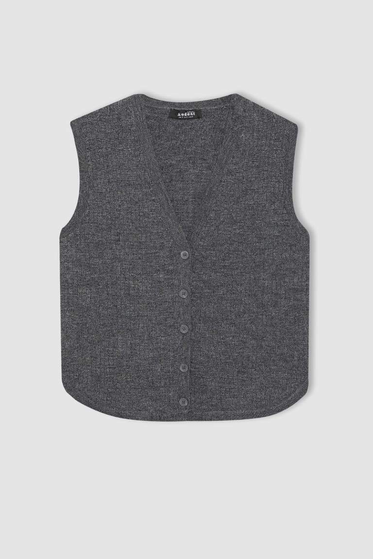 Regular Fit V-Neck Vest